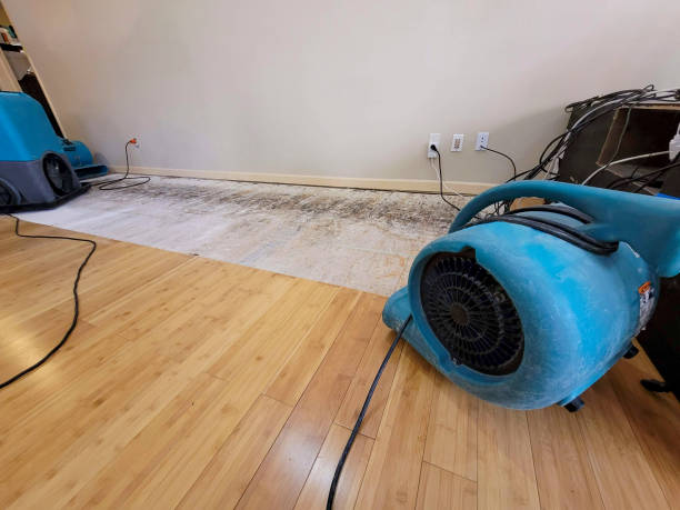Professional Basement Flood Cleanup technician working in Berlin, NH